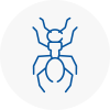 Ant Removals In South Gloucestershire