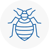 Bed Bug Extermination In South Gloucestershire