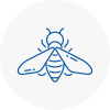 Bee Nest Removal South Gloucestershire