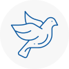 Bird Prevention South Gloucestershire