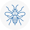 South Gloucestershire Hornet Nest Removals