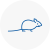 Mice Exterminators In South Gloucestershire