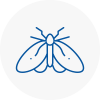 Moth Control Specialists In South Gloucestershire