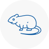Rat Control South Gloucestershire