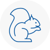 South Gloucestershire Rodent Removals