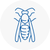 South Gloucestershire Wasp Nest Removal